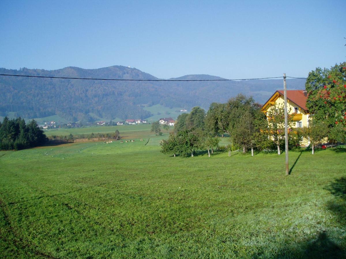 Pension Puhringer Mondsee Extérieur photo